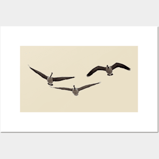 Three Geese Posters and Art